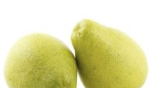 台湾麻豆文旦柚